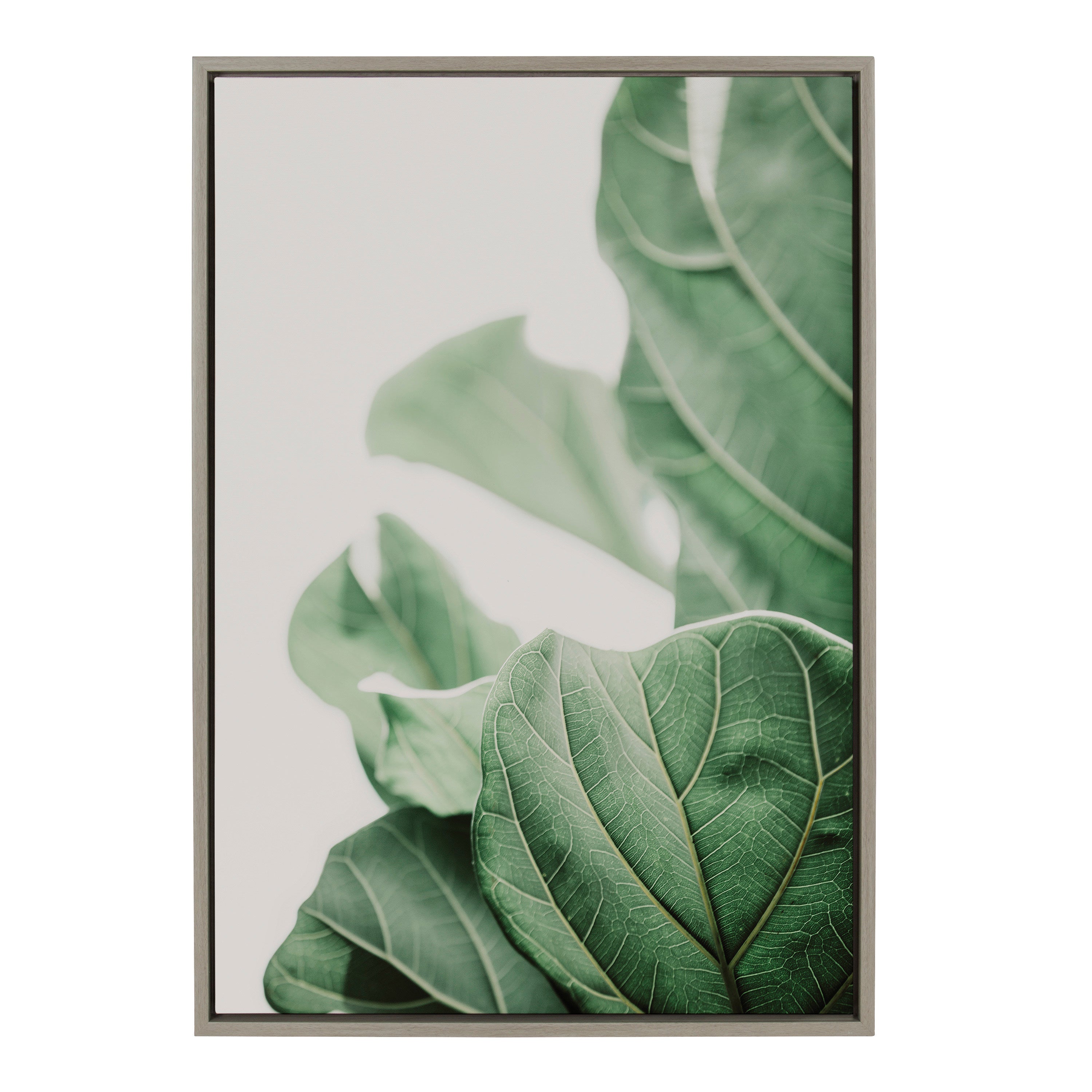 Sylvie Plant Study 7 Framed Canvas by kateandlaurel - product image 9 for Resin Society