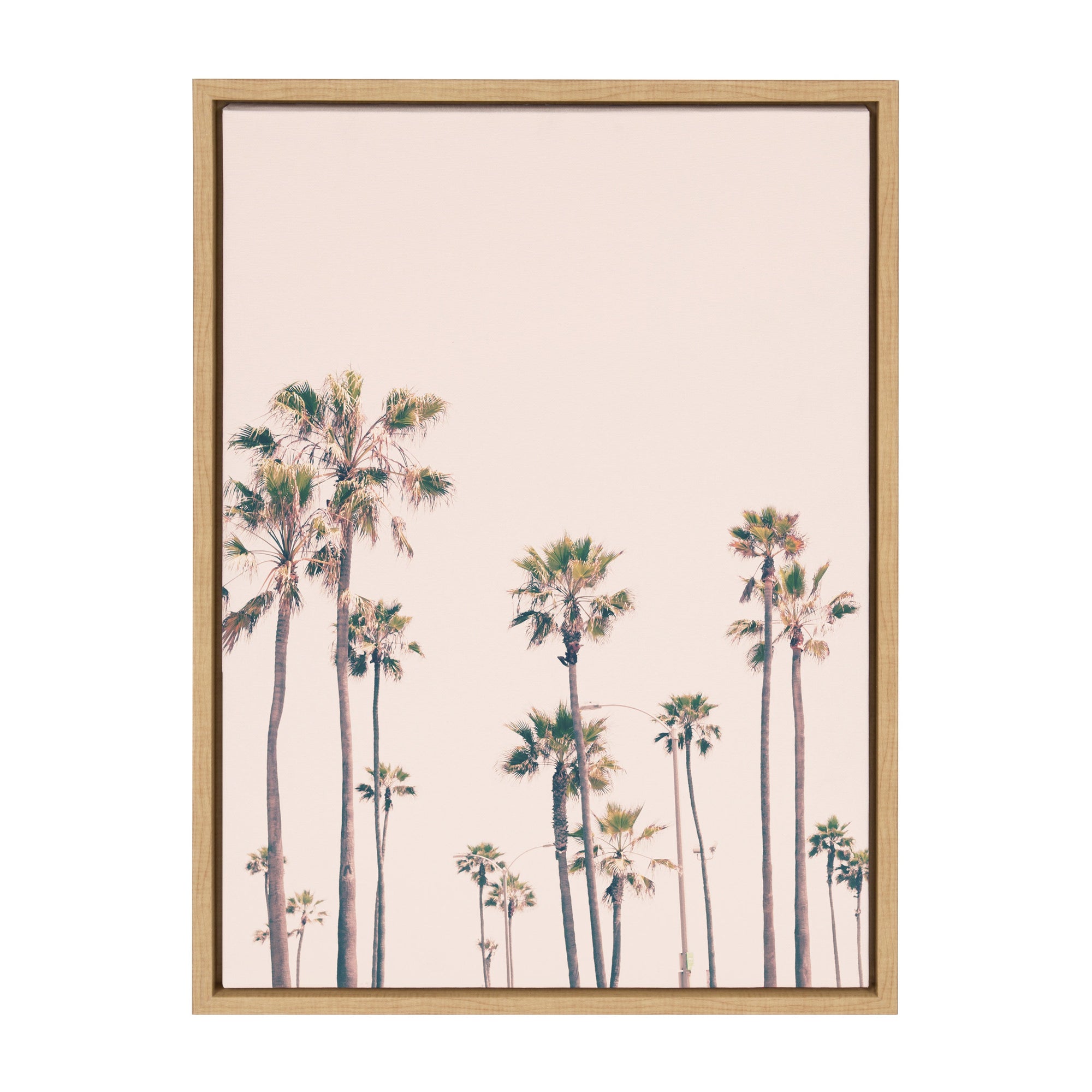 Sylvie Pink Palm Tree Paradise Framed Canvas by kateandlaurel - product image 9 for Resin Society