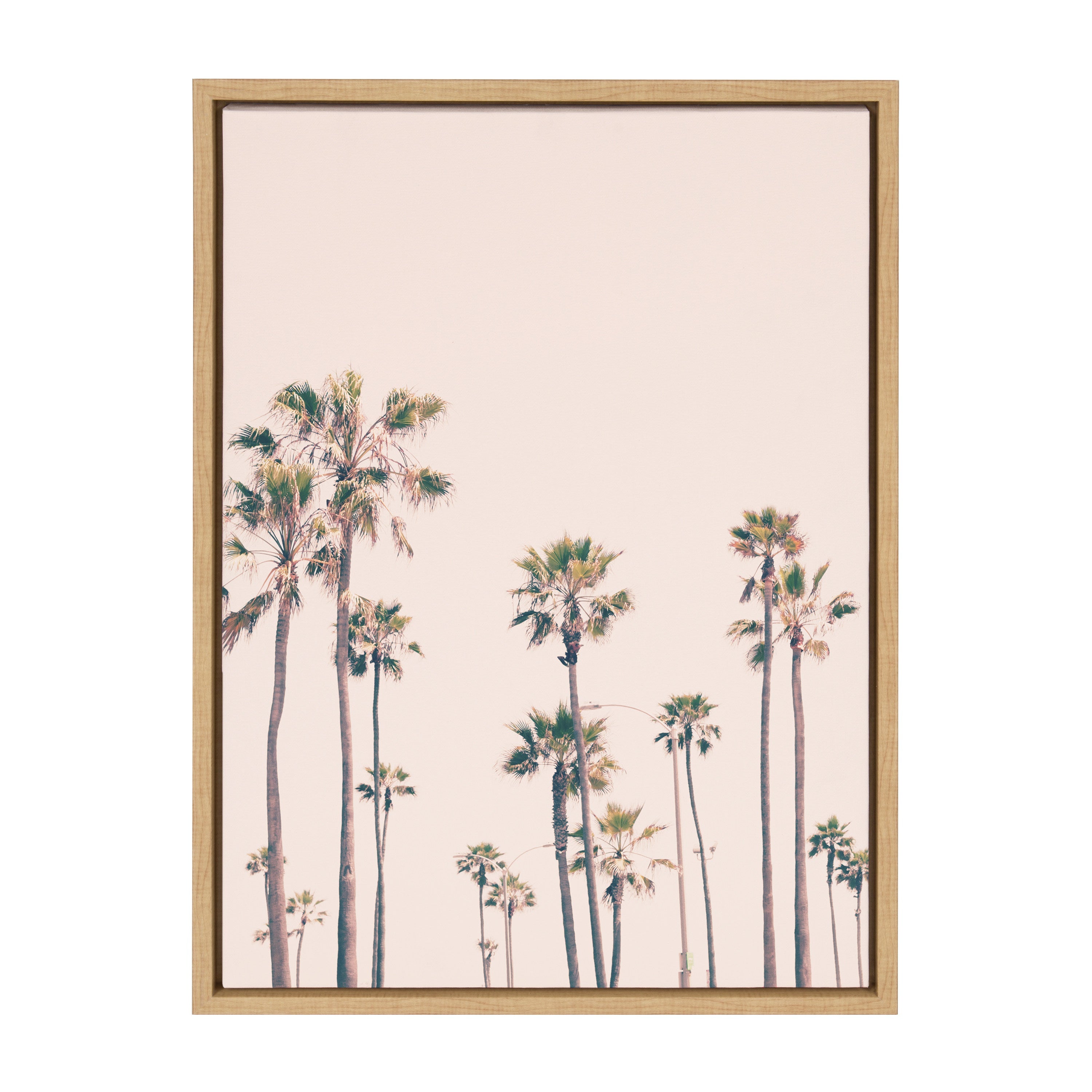 Sylvie Pink Palm Tree Paradise Framed Canvas by kateandlaurel - product image 9 for Resin Society