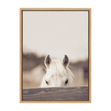 Sylvie Equine Framed Canvas by kateandlaurel - main product image for Resin Society