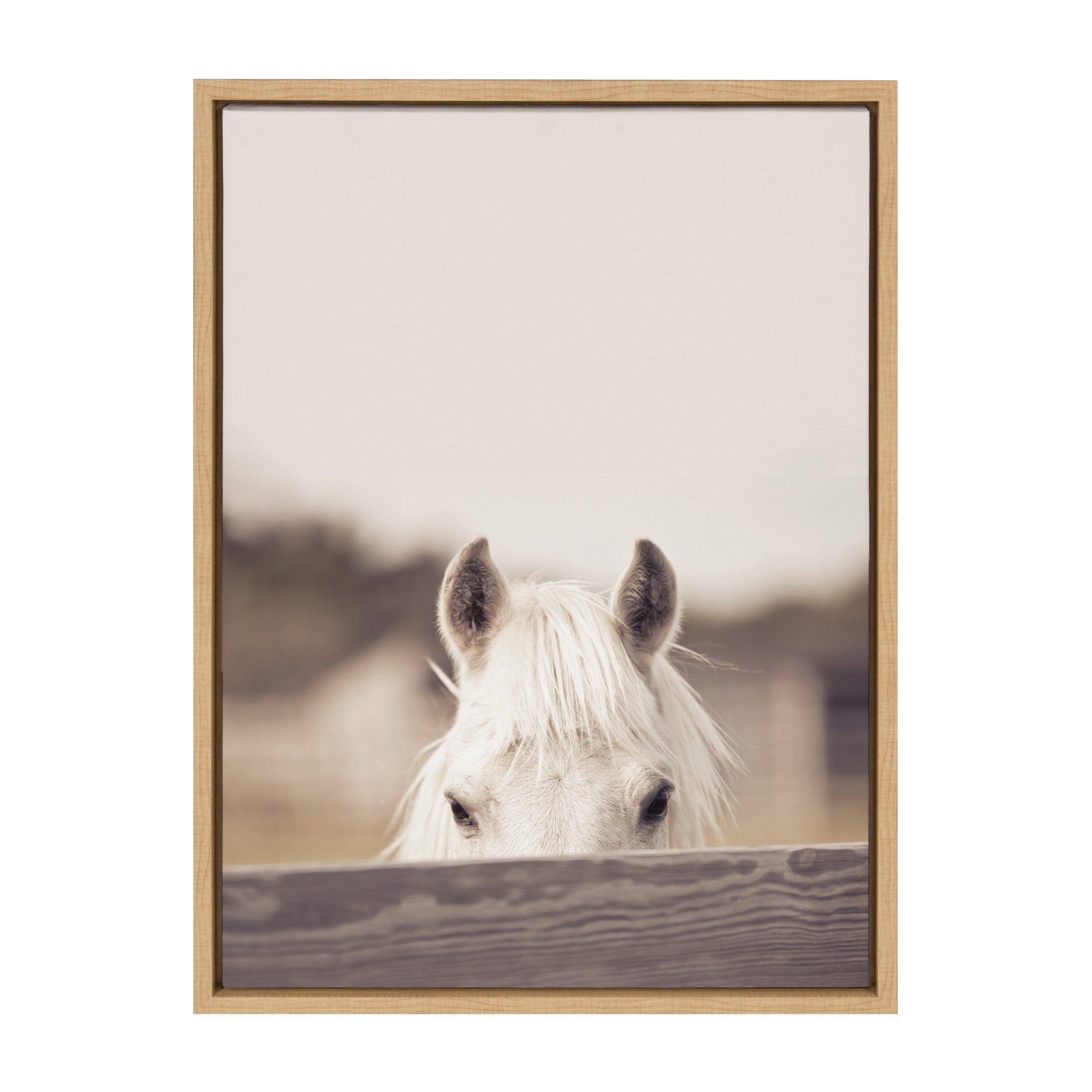 Sylvie Equine Framed Canvas by kateandlaurel - main product image for Resin Society