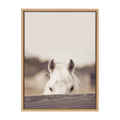 Sylvie Equine Framed Canvas by kateandlaurel - main product image for Resin Society