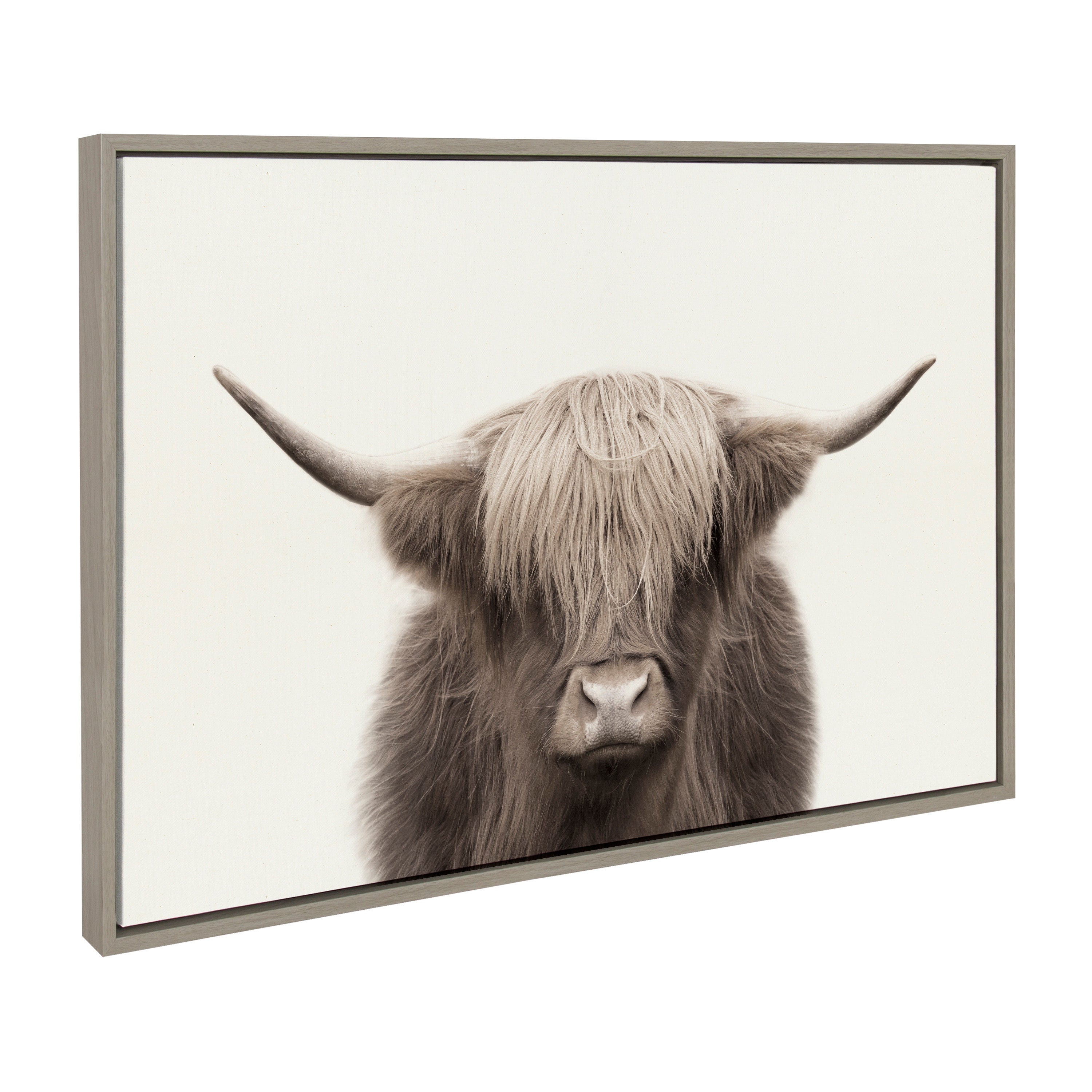 Sylvie Hey Dude Highland Cow Color Framed Canvas by The Creative Bunch