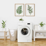 Two framed botanical prints featuring green fern and ruscus leaves hang above a white front-load washing machine in a bright laundry room with plants and wicker basket.