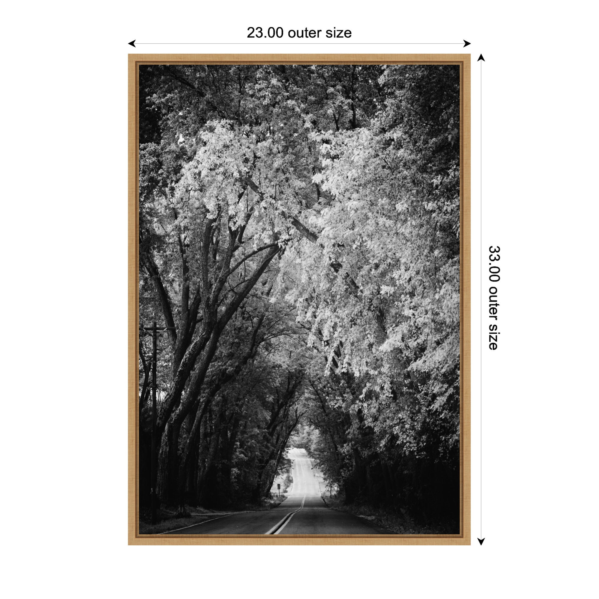 Sylvie Pleasant Valley Road Serene Path Framed Canvas by Emiko and Mark Franzen of F2Images