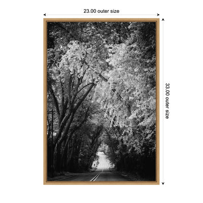 Sylvie Pleasant Valley Road Serene Path Framed Canvas by Emiko and Mark Franzen of F2Images
