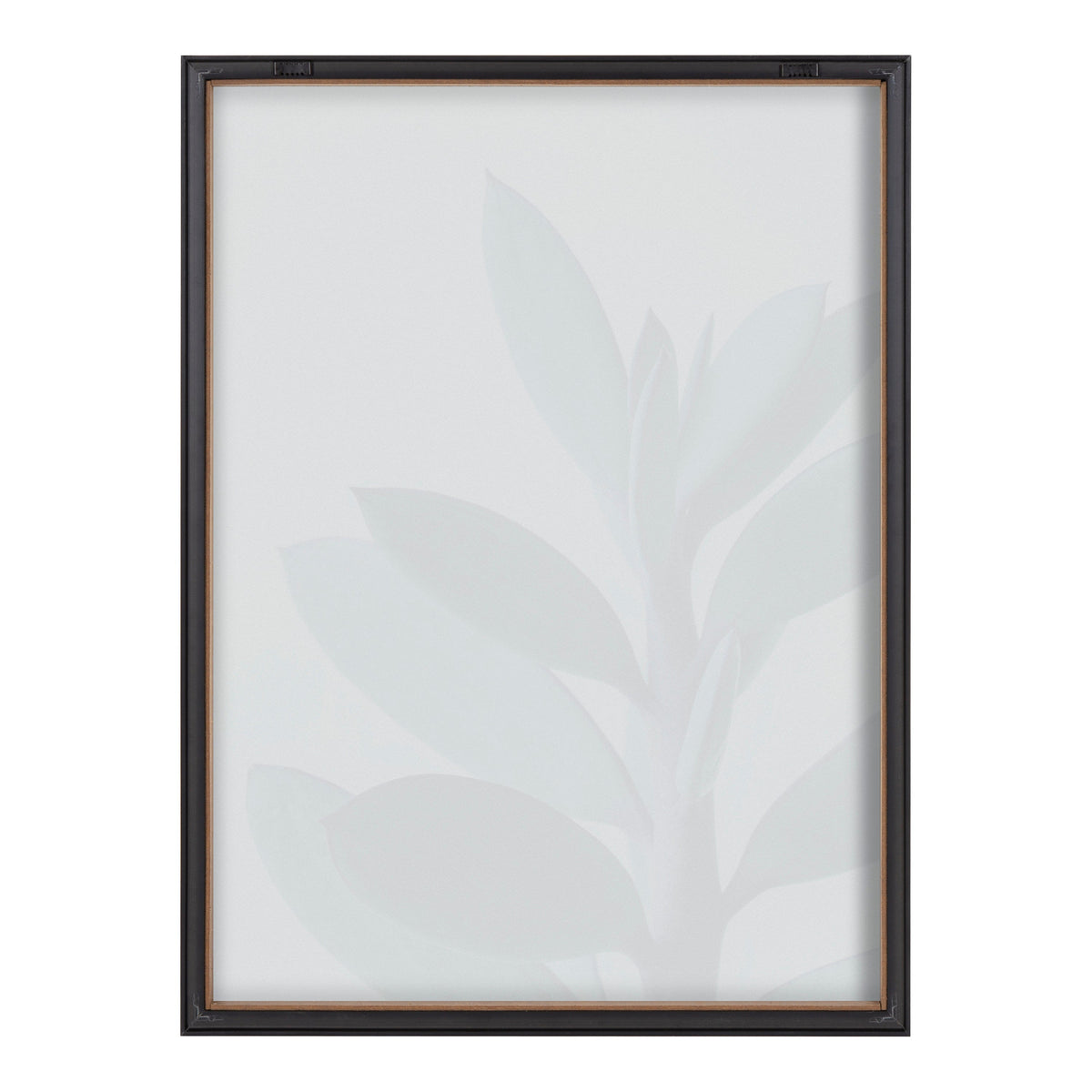 Blake Senecio 1 Framed Printed Glass by kateandlaurel - product image 4 for Resin Society