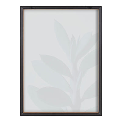 Blake Senecio 1 Framed Printed Glass by kateandlaurel - product image 4 for Resin Society