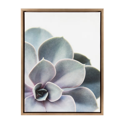 Sylvie Succulent 5 Framed Canvas by F2 Images by kateandlaurel - product image 8 for Resin Society