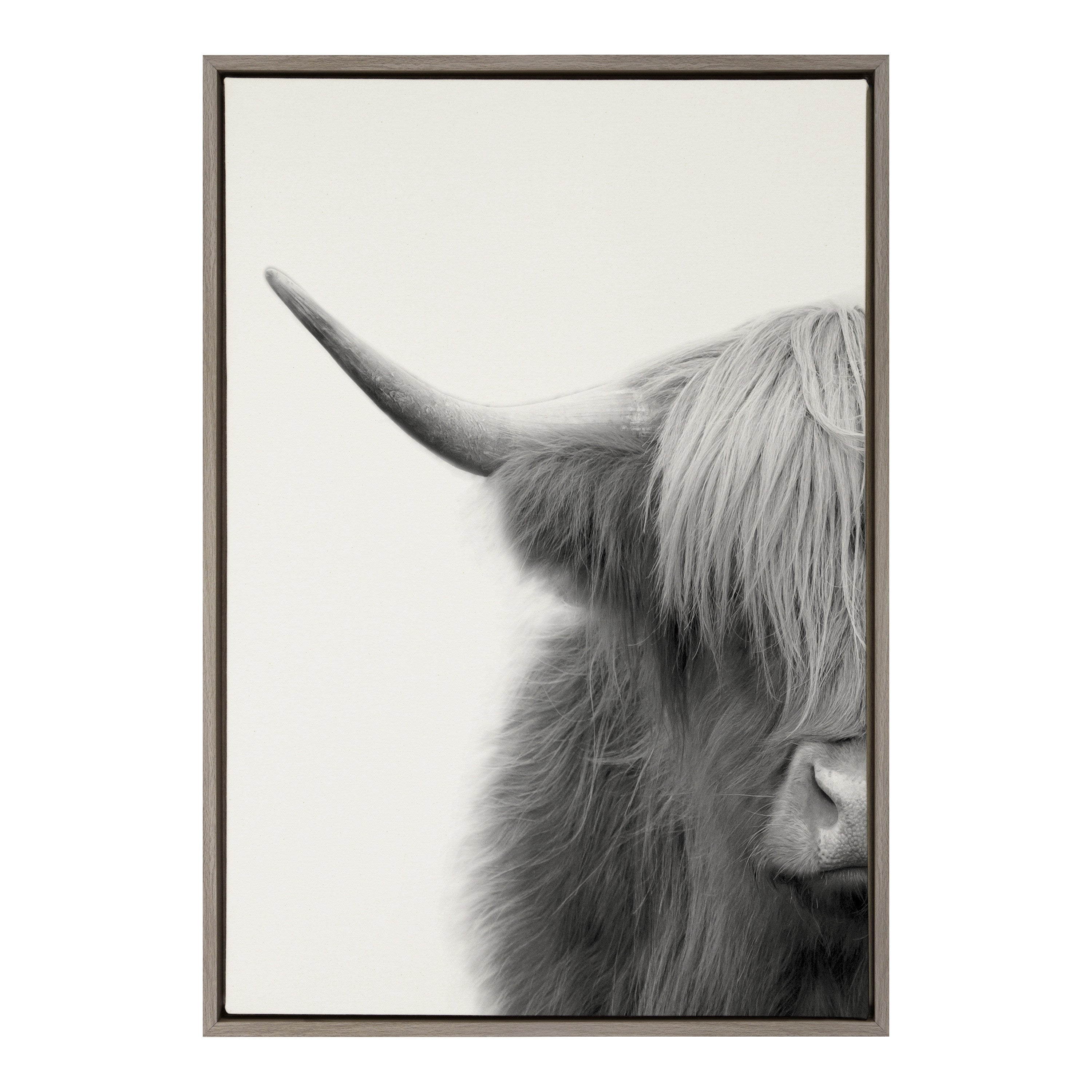 Sylvie Hey Dude Highland Cow Crop Framed Canvas by kateandlaurel - product image 17 for Resin Society