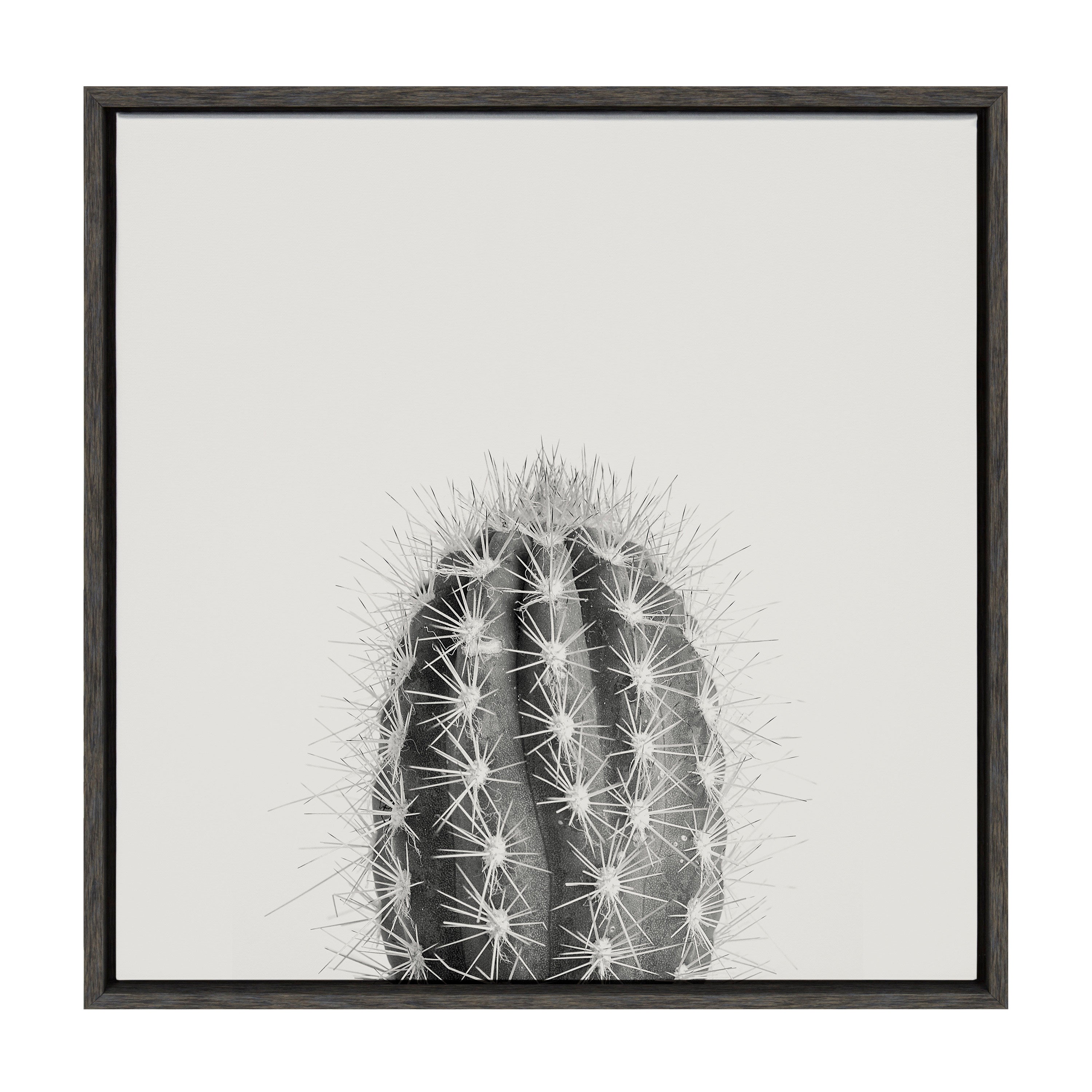 Sylvie Haze Cactus Succulent Tall Framed Canvas