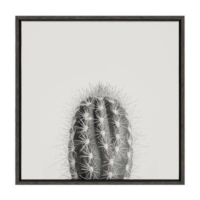 Sylvie Haze Cactus Succulent Tall Framed Canvas