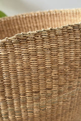 Perfect Planter - Natural by Mbare Ltd - product image 2 for Resin Society