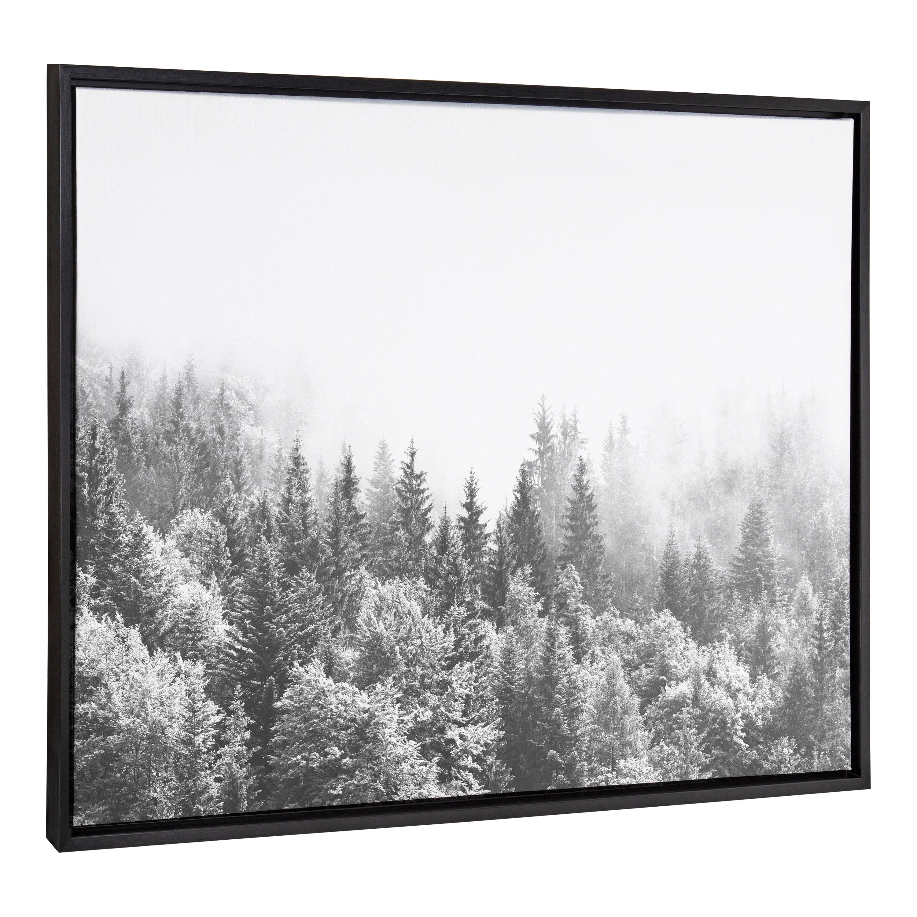 Sylvie Forest On A Foggy Day BW Framed Canvas