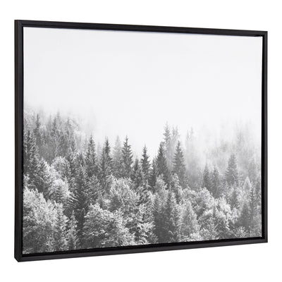 Sylvie Forest On A Foggy Day BW Framed Canvas