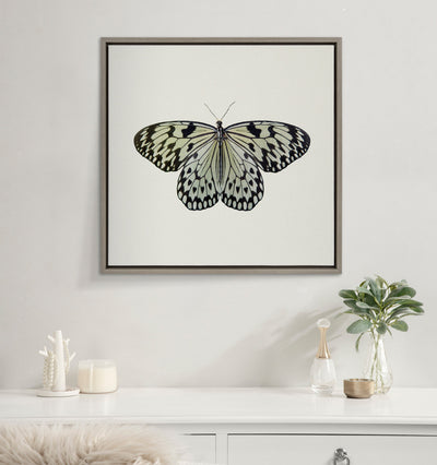 Sylvie Two Tone Butterfly Framed Canvas by kateandlaurel - product image 6 for Resin Society