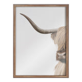 Close-cropped side portrait of a Highland cow showing a long curved horn and shaggy light brown fur covering part of its face against a pale background.