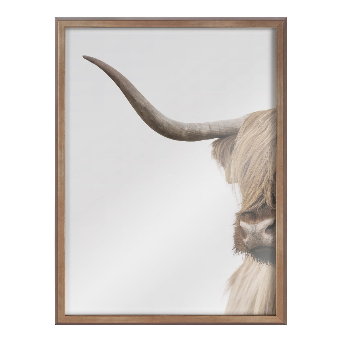 Close-cropped side portrait of a Highland cow showing a long curved horn and shaggy light brown fur covering part of its face against a pale background.