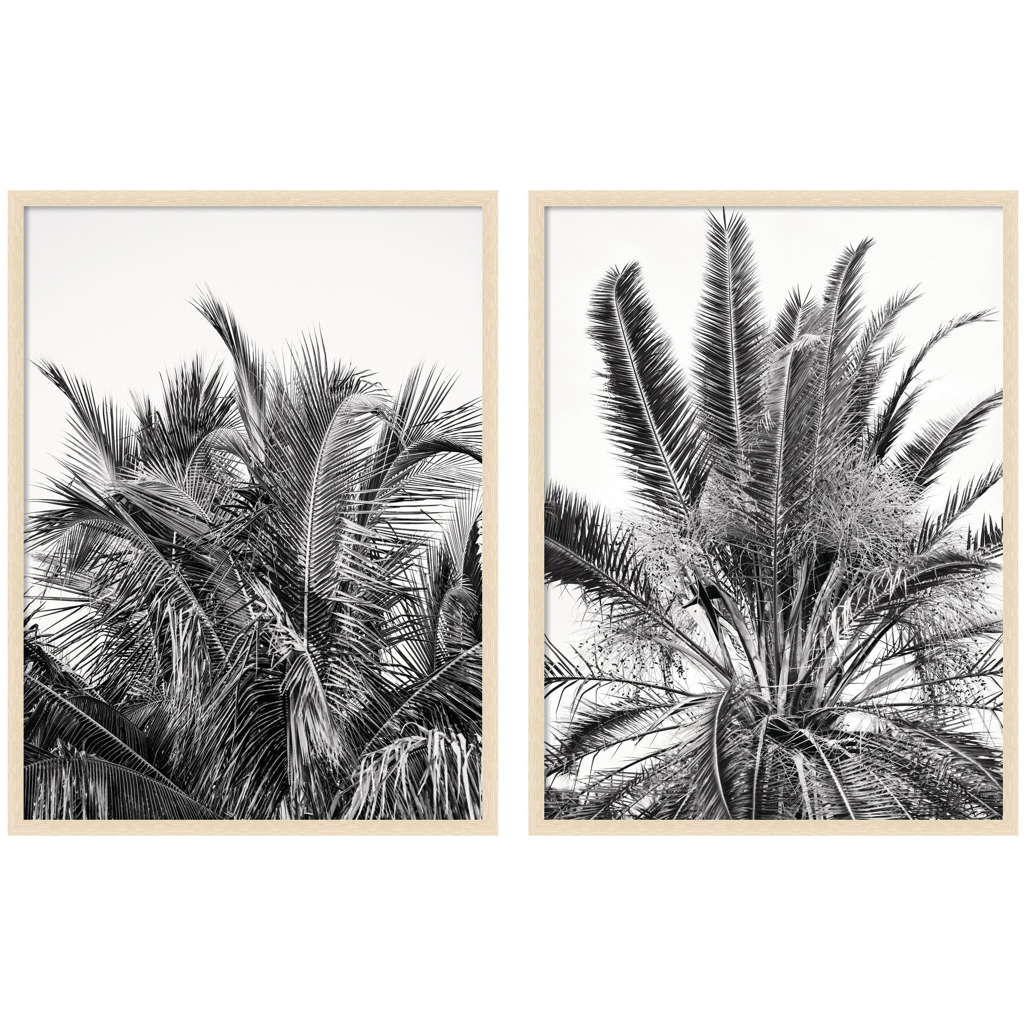 Palm No.
13 & 15 2 Piece Framed Wall Art Print Set by Alicia Bock