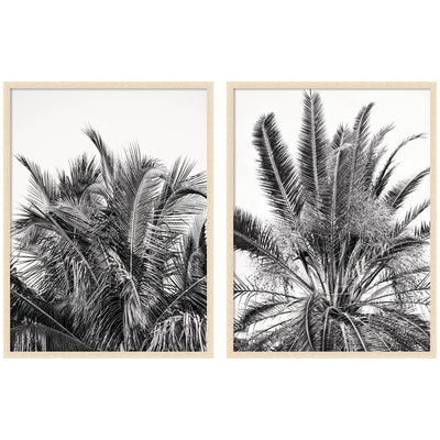 Palm No.
13 & 15 2 Piece Framed Wall Art Print Set by Alicia Bock
