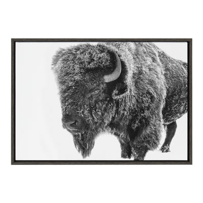 Sylvie Bison in Snow Black and White Framed Canvas by Amy Peterson Art Studio