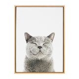 Gray cat with closed eyes and a content expression on a white background, framed in light wood.