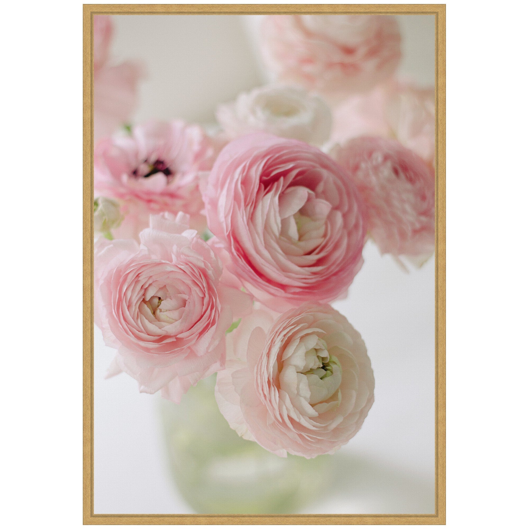 Sylvie Delicate Pink Ranunculus Flower Bouquet Framed Canvas by Kristy Campbell