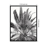 Black and white art print of a palm tree with detailed fronds arranged in a fan shape, framed in a simple black frame measuring 31 by 41 inches.