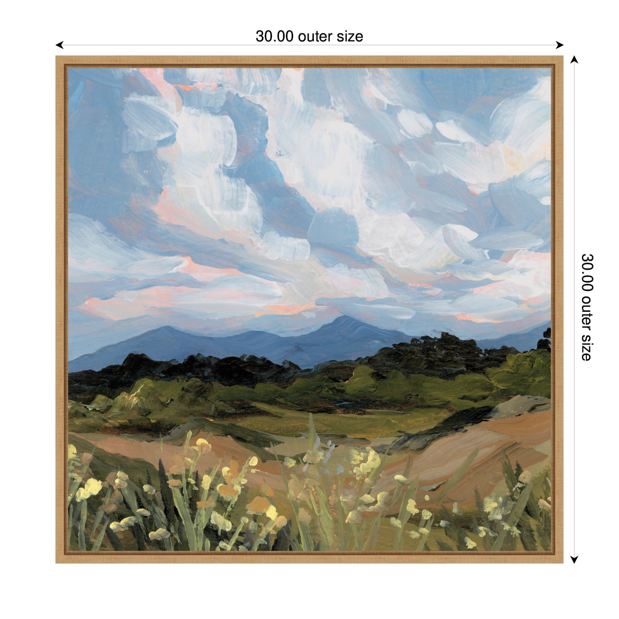 Garden of Gods by Emily Kenney Framed Canvas Wall Art Print