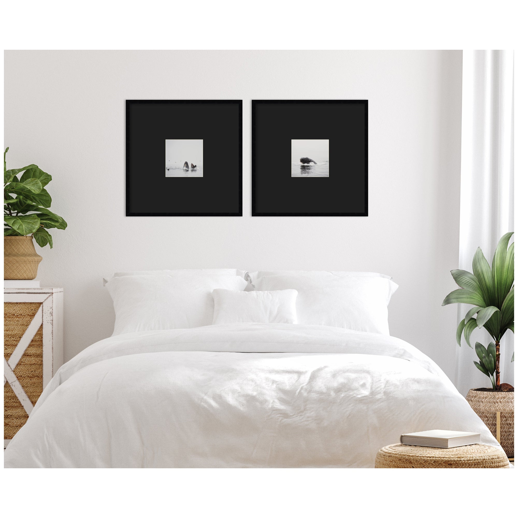 Humpback Whale 2 Piece Framed Wall Art Print Set