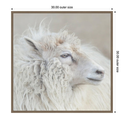 Harry Crop by Emiko and Mark Franzen F2 Images Framed Canvas Wall Art Print