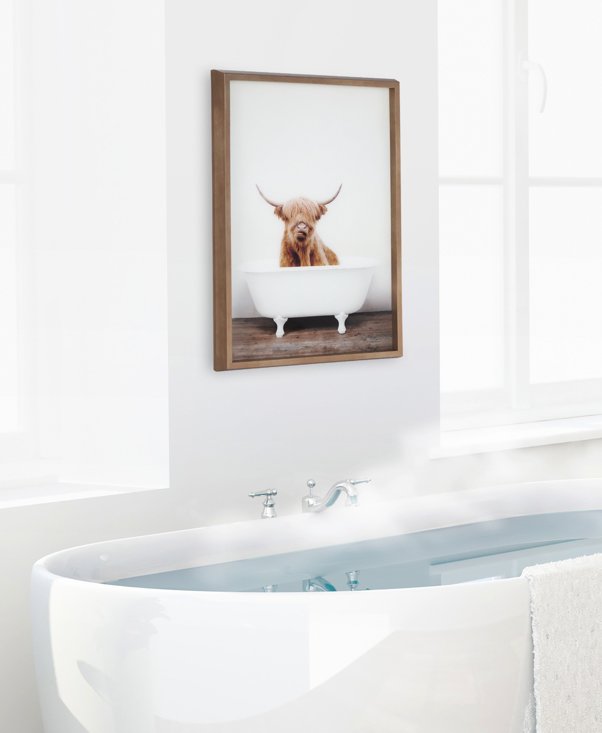 Blake Highland Cow in Tub Color Framed Printed Glass