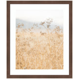 Framed Art piece titled 'Wild Fennel' showing golden grasses in soft focus, in Florence Medium Brown frame