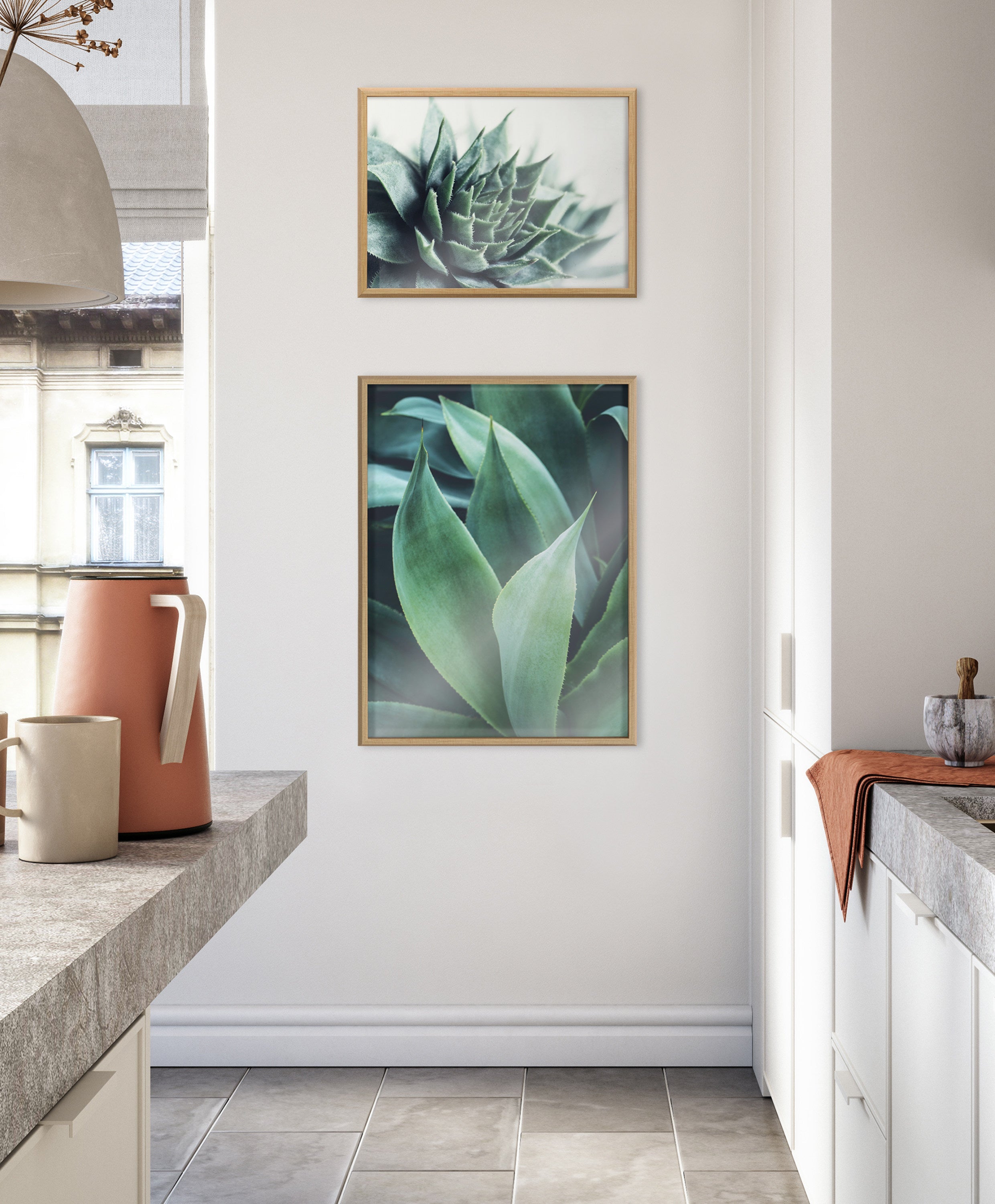 Blake Radical Succulent Framed Printed Glass by Emiko and Mark Franzen of F2Images