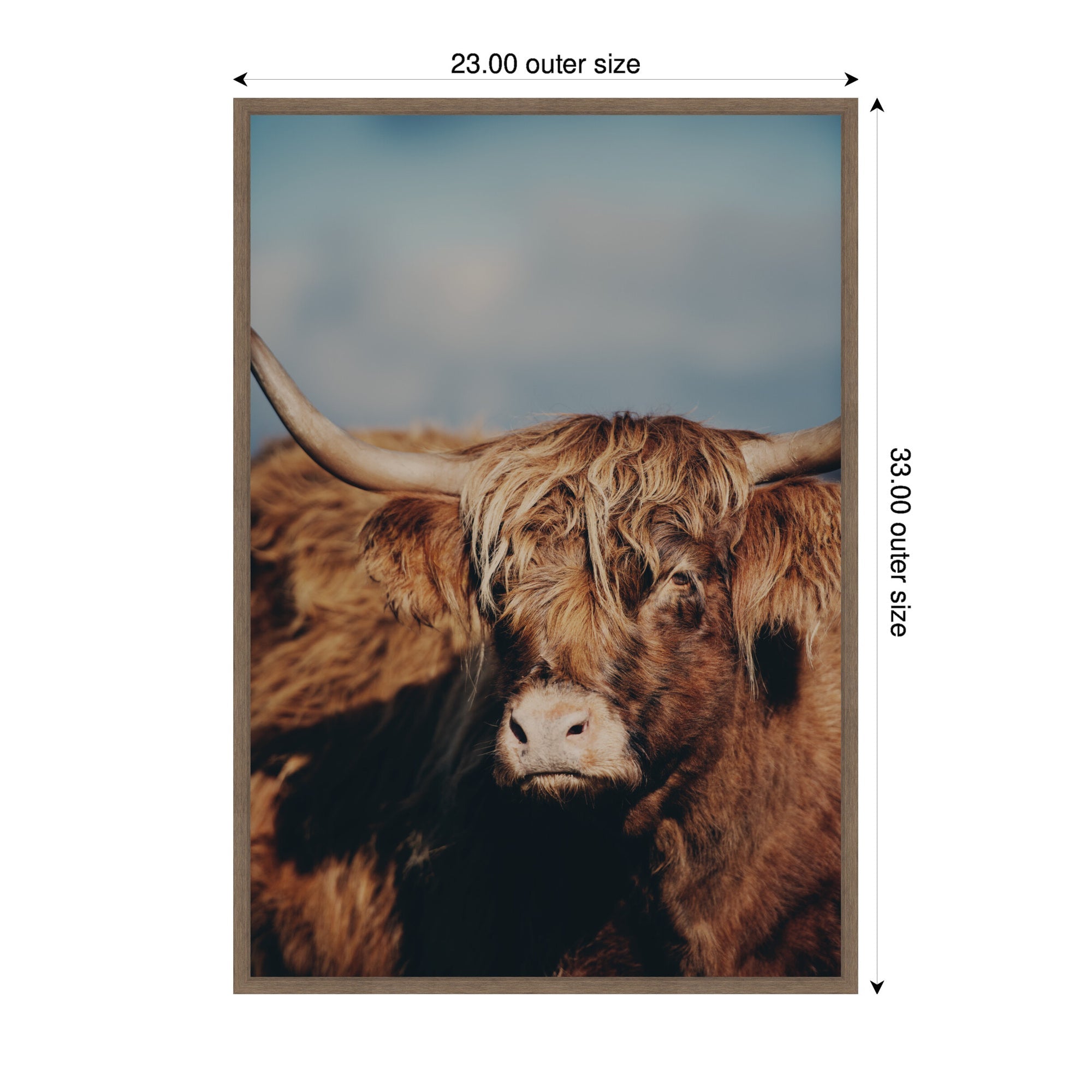 Highland Cow No.
5 by Laura Evans Framed Canvas Wall Art Print
