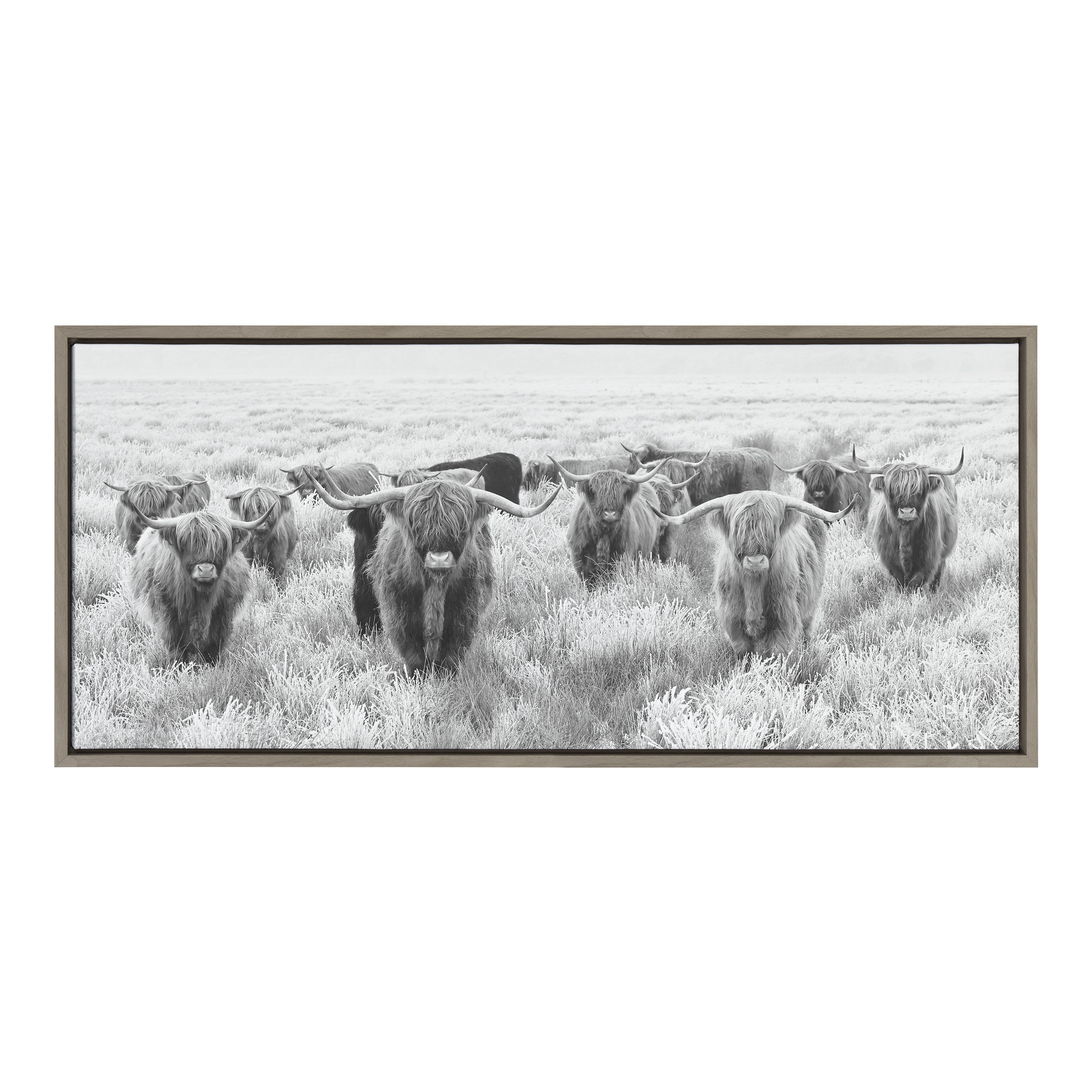 Sylvie Herd of Highland Cows Black and White Framed Canvas by The