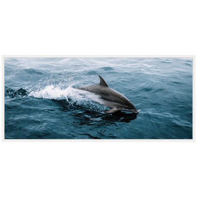 Sylvie Dolphin Skipping along in the Ocean Framed Canvas by Michael Schauer