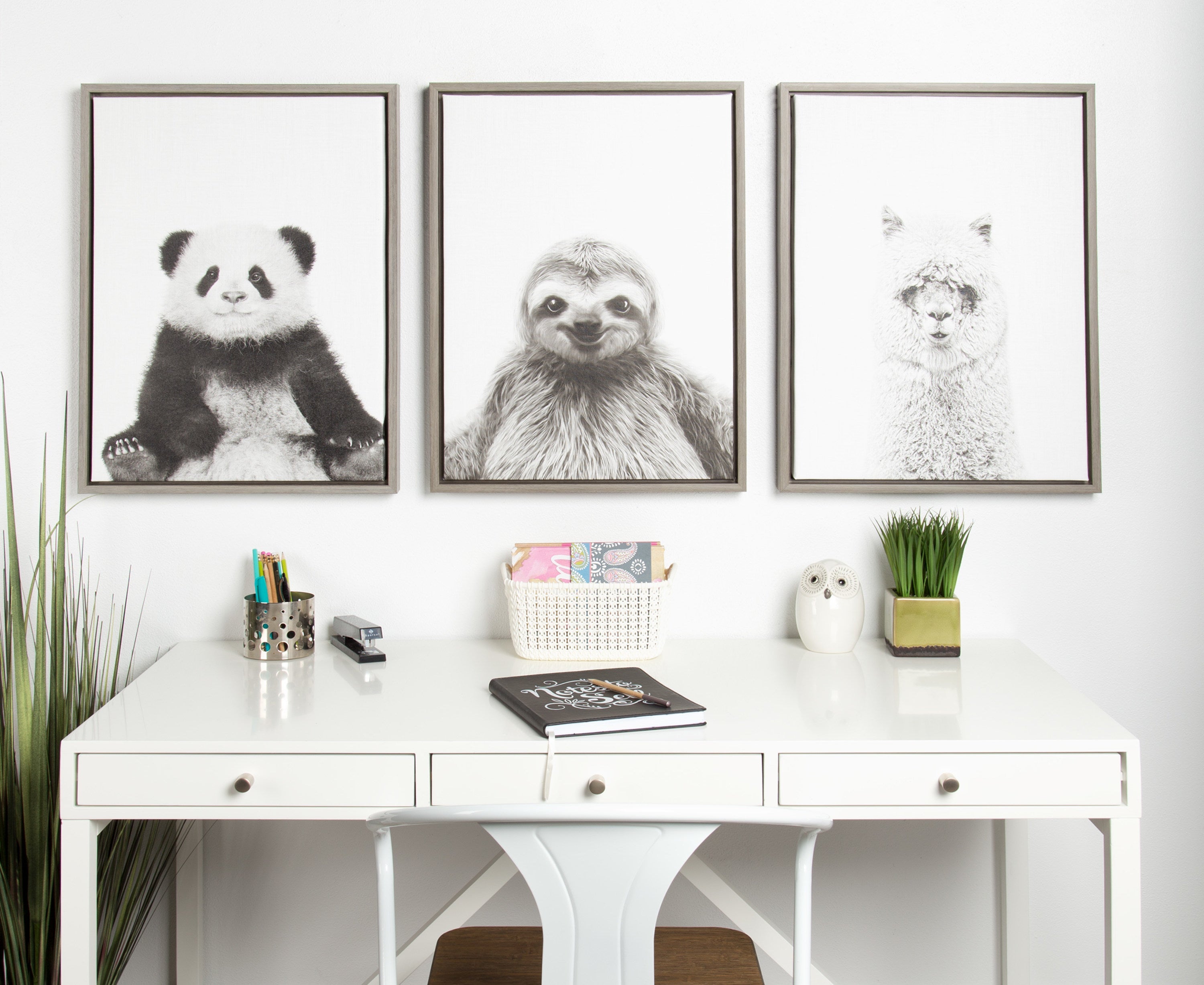 Sylvie Hairy Alpaca Framed Canvas by Simon Te of Tai Prints