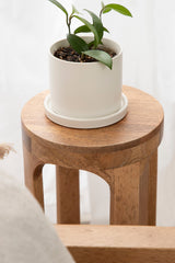 Round Dahl Wood Drink Table with rich brown wood grain and straight legs, topped with a small white ceramic pot holding green leaves and soil.