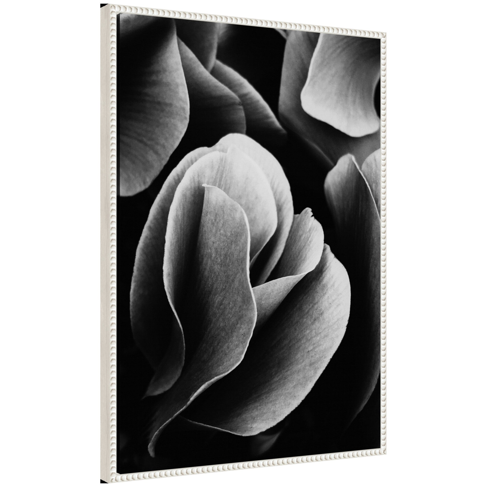 Sylvie black and white flower petals floral art on framed canvas