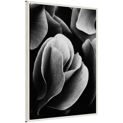 Sylvie black and white flower petals floral art on framed canvas
