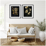 Two framed floral prints with dark backgrounds and light-colored flowers hang above a wooden bench with white and gray plaid pillows, flanked by a large potted plant.
