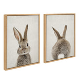 Two framed canvas prints side by side: left shows a front-facing brown rabbit with tall ears, right shows the same rabbit's rear with a white tail, both on neutral backgrounds.