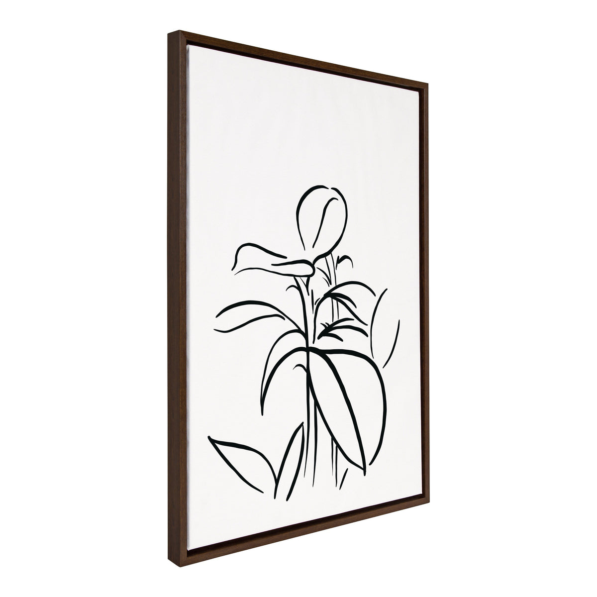 Sylvie Botanical Sketch Print No 1 Framed Canvas by The Creative Bunch by kateandlaurel - product image 2 for Resin Society