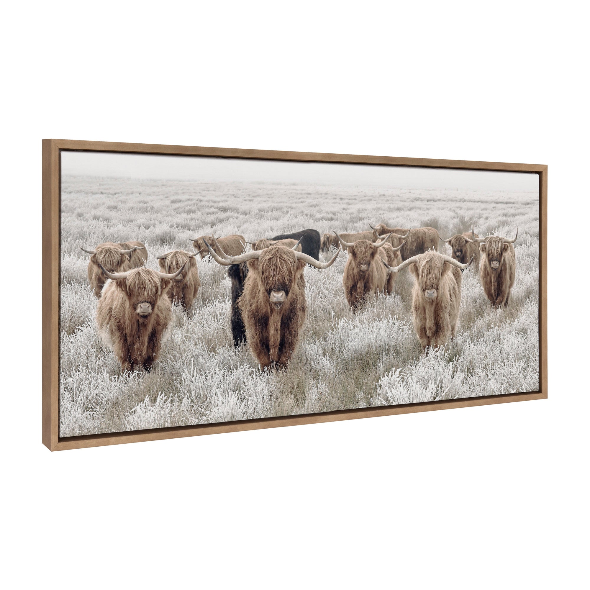 Sylvie Herd of Highland Cows Color Framed Canvas by The Creative Bunch by kateandlaurel - main product image for Resin Society