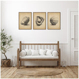 Three framed vintage-style sketches of a football, a baseball glove with ball, and a basketball hung in a row above a wooden bench with white cushions in a minimalist room.