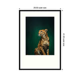Portrait of a cheetah sitting against a dark emerald green background, framed with a white mat and thin black frame measuring 29 by 41 inches.