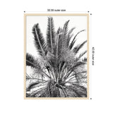 Black and white framed print featuring upward view of palm tree fronds with detailed textures against a white background, measuring 32 by 42 inches.