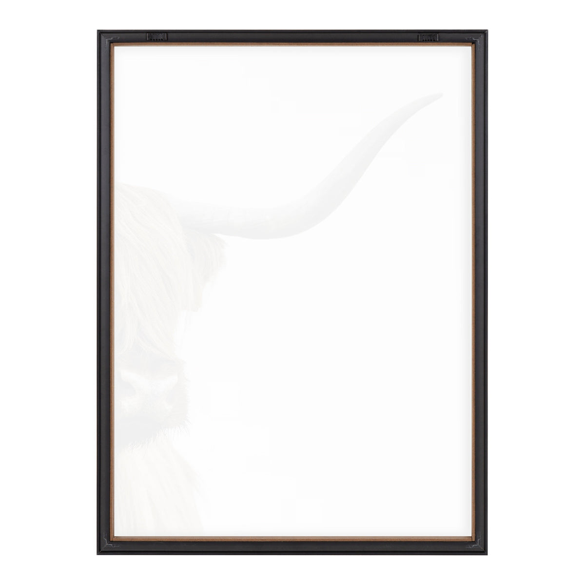 Close-up vertical portrait of a Highland cow focusing on its long curved horn and chestnut fur, set against a white background in a dark frame.