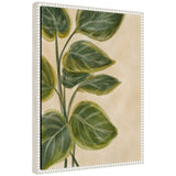 Close-up of framed canvas painting depicting green leaves with yellowish edges on beige background, highlighting the leaf veins and the white beaded frame.